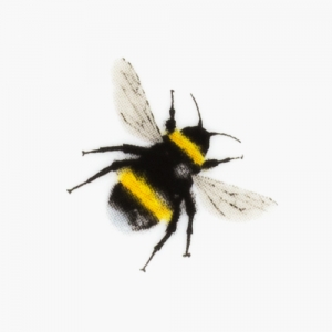 Yellow Bumble Bee